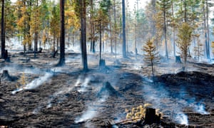 Hot, dry weather caused fires across Sweden as well as in other parts of Europe, Australia and the US.