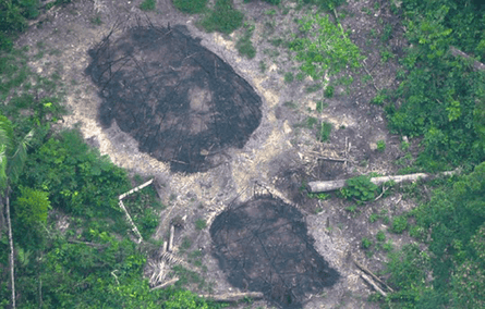 Burnt communal houses of uncontacted tribespeople, dating from December 2016, could be signs of an earlier massacre in the Javari Valley