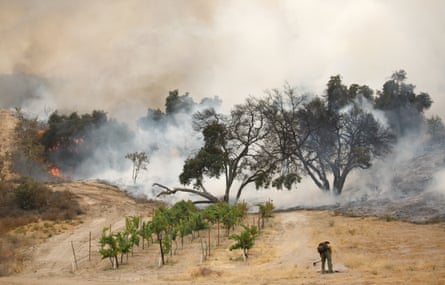 A firefighter clears brush while battling the Holy wildfire in Corona, California.