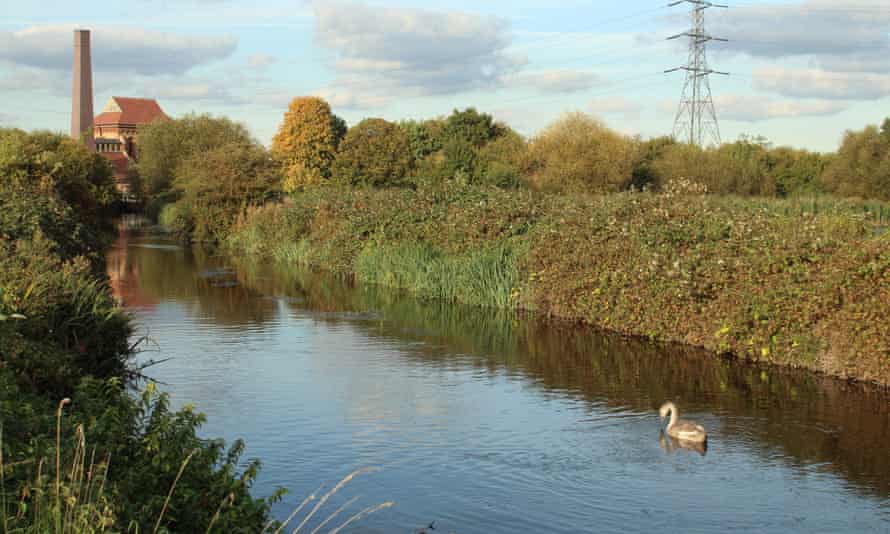 Victorian chimney and a waterway, with a swan on it, at Walthamstow Wetlands, London, UK