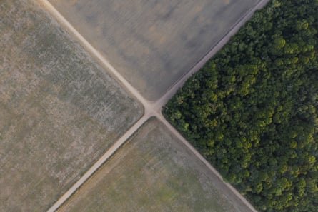 An aerial image showing fields and the cut down Amazon rainforest lined by roads