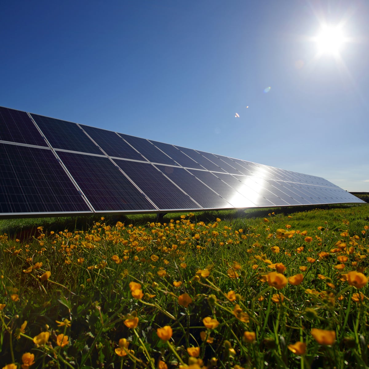 Britain’s biggest community solar farm forced to shut over grid overload fears