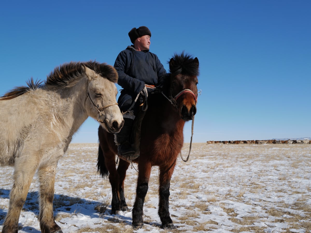 Steppes and the city: how smog has become part of Mongolians' way of life – in pictures | Global development | The Guardian