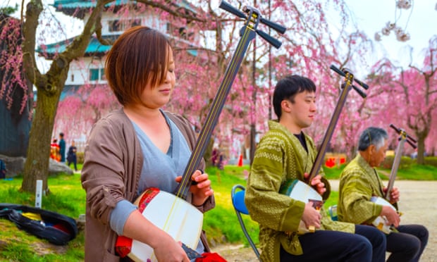 Japanese musicians perform the tradtional insturment the shamisen in Hirosaki Park, Japan.