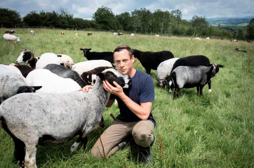 Dan Cox at Melilot, his farm in Cornwall.