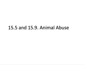 Animal Abuse 26