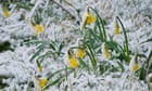 Spring has sprung in the UK but don't be surprised by more wintry weather