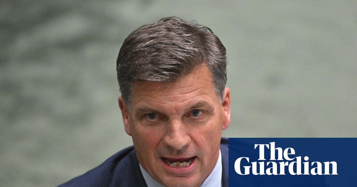 ‘Dig and drill’: Angus Taylor says Australia should fast-track mining and coal projects amid fuel crisis