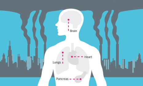 Pollution and Health: Understanding the Link and Ways to Protect Yourself Pollution and Health: Understanding the Link and Ways to Protect Yourself
