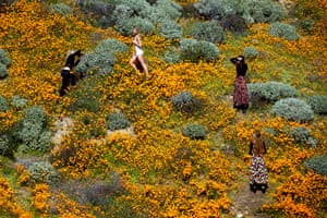 A photoshoot in the poppy fields near Lake Elsinore.