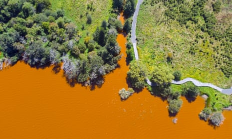 An aerial view of Lake Waikare's orange-coloured water surface