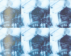 Six-hour polygraphs, forced reassignments: inside homeland security’s campaign of fear