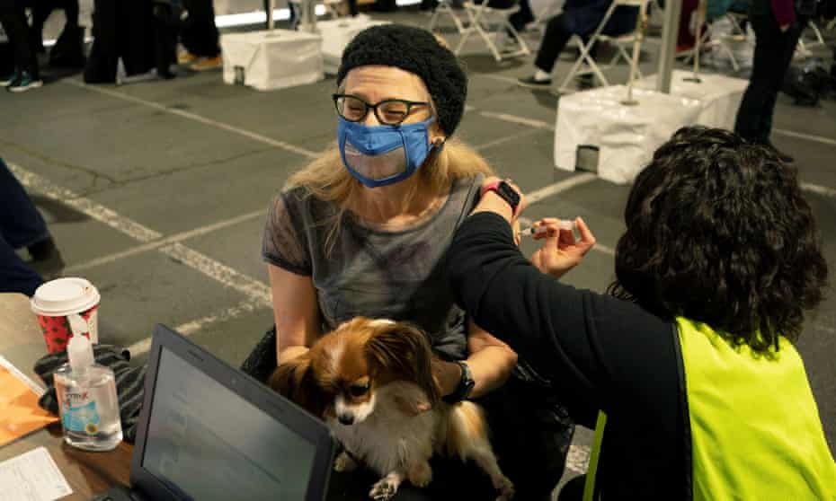 Carolyn Traub, an interpreter, receives a vaccine while holding her dog, Phoebe, at a mobile coronavirus vaccine clinic for members of the deaf and blind community, organized by Swedish Medical Center in Seattle earlier this month.