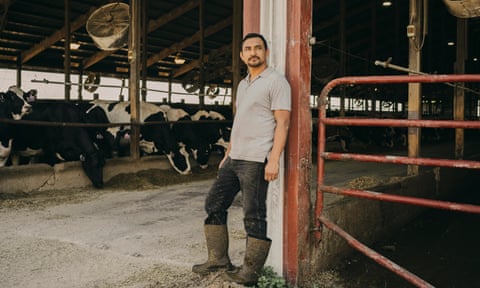 Solomon, a Latino dairy worker wearing rubber boots, leans against a pillar in front of a barn where several cows are feeding.