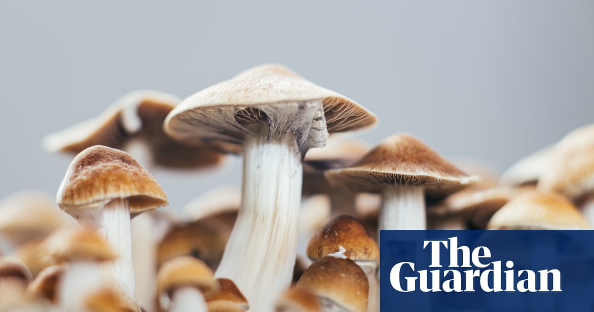 Australian approval of MDMA and psilocybin a baby step in the right direction, medical experts say