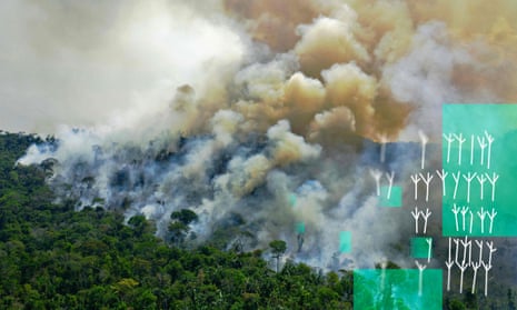 A burning area of Amazon rainforest reserve, south of Novo Progresso in Pará state, Brazil.