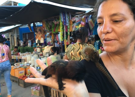 Conservationist Noga Shanee holds a baby Saddle-backed Tamarin with an infant pygmy marmoset on her shoulder in Belén market