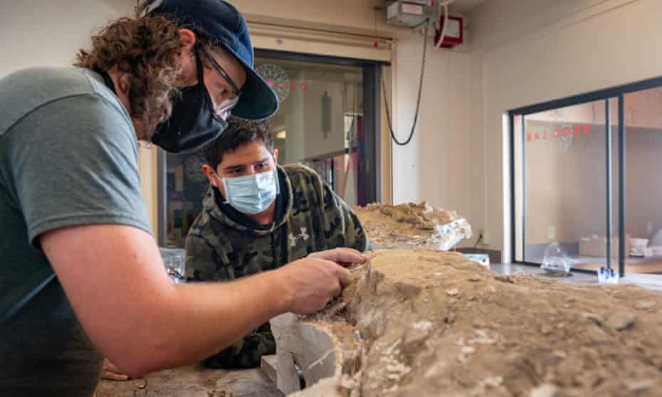 Um cientista e um estudante se afastam das presas do mastodonte.