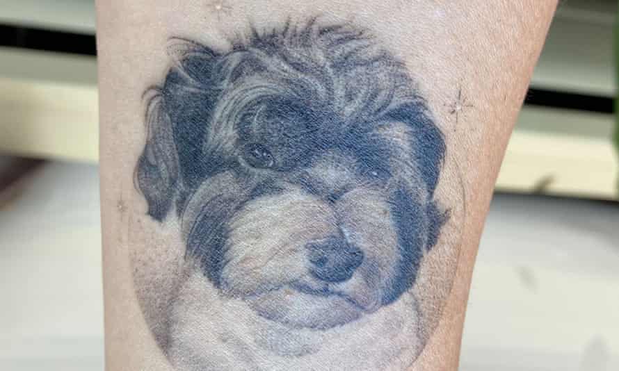 Rosa's havanese dog Tuco