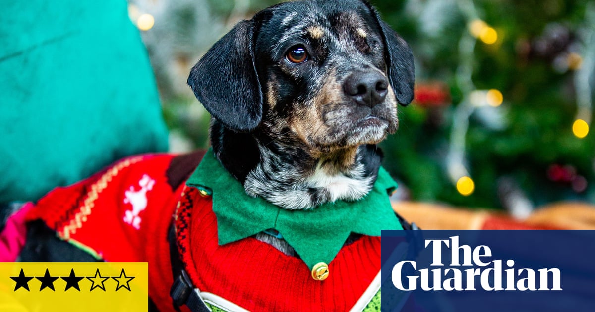 The Dog House at Christmas review – bark the herald angels sing