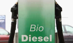 Demand for food-based biofuels, such as palm oil, can drive rainforest destruction, the report emphasises.