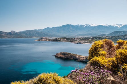 Flowers, sea and snowy mountains on Corsica