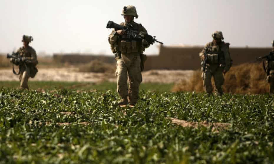 US marines on patrol in a poppy field in Helmand province, Afghanistan, in 2010