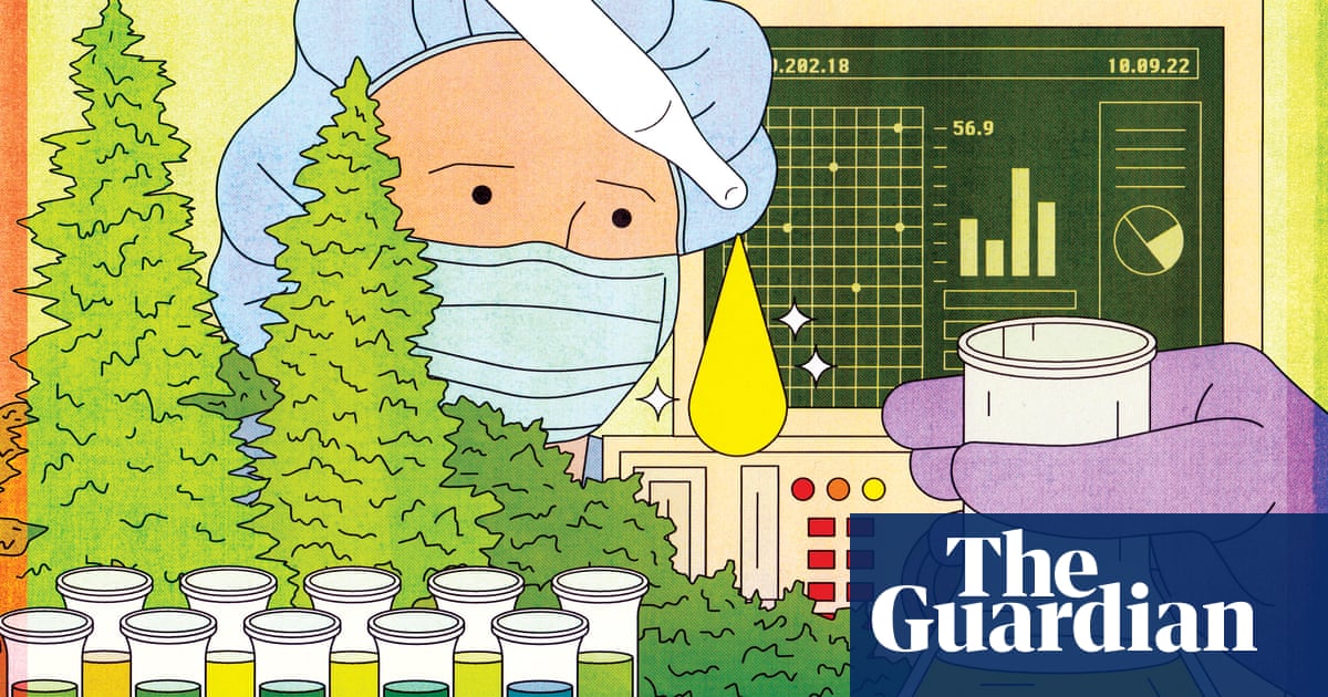 What Is Cbd The Miracle Cannabis Compound That Doesn T Get You