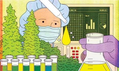 What is CBD? The 'miracle' cannabis compound that doesn't get you high | Cannabis | The Guardian What is CBD? The 'miracle' cannabis compound that doesn't get you high | Cannabis | The Guardian