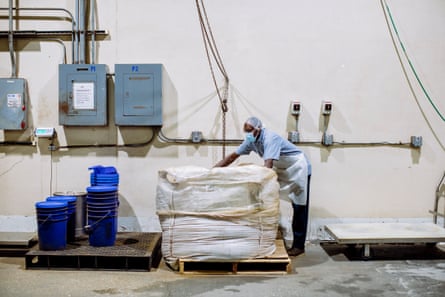An employee prepares dried palmetto berries for processing at Valensa International, a manufacturer of palmetto berry extract based in Eustis, Florida,.
