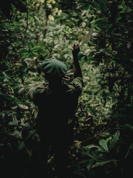 Cidades flutuantes de troncos: poderão os “pulmões de África” sobreviver à sua exploração?