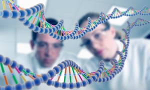 Scientists looking at DNA model