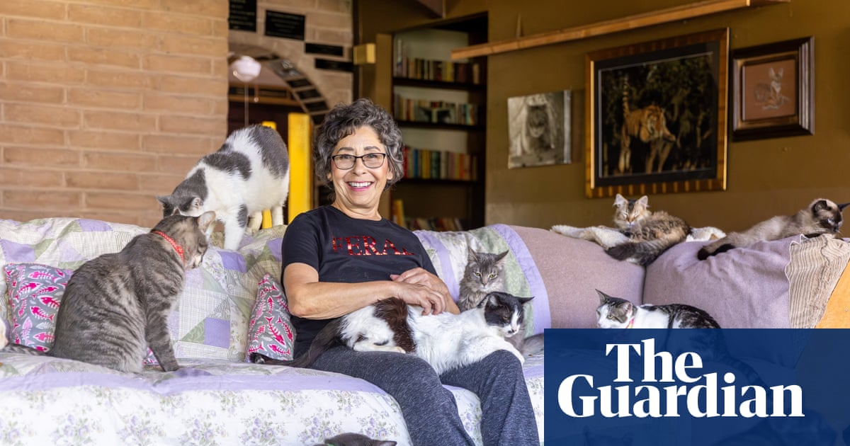 Cat ladies aren’t that ‘crazy’ after all