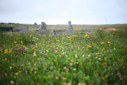 Machair has hosted crofts for centuries, its light, workable soil contrasting with the rocky peatland often prevalent across the islands.