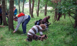 Wild Food UK foraging courses