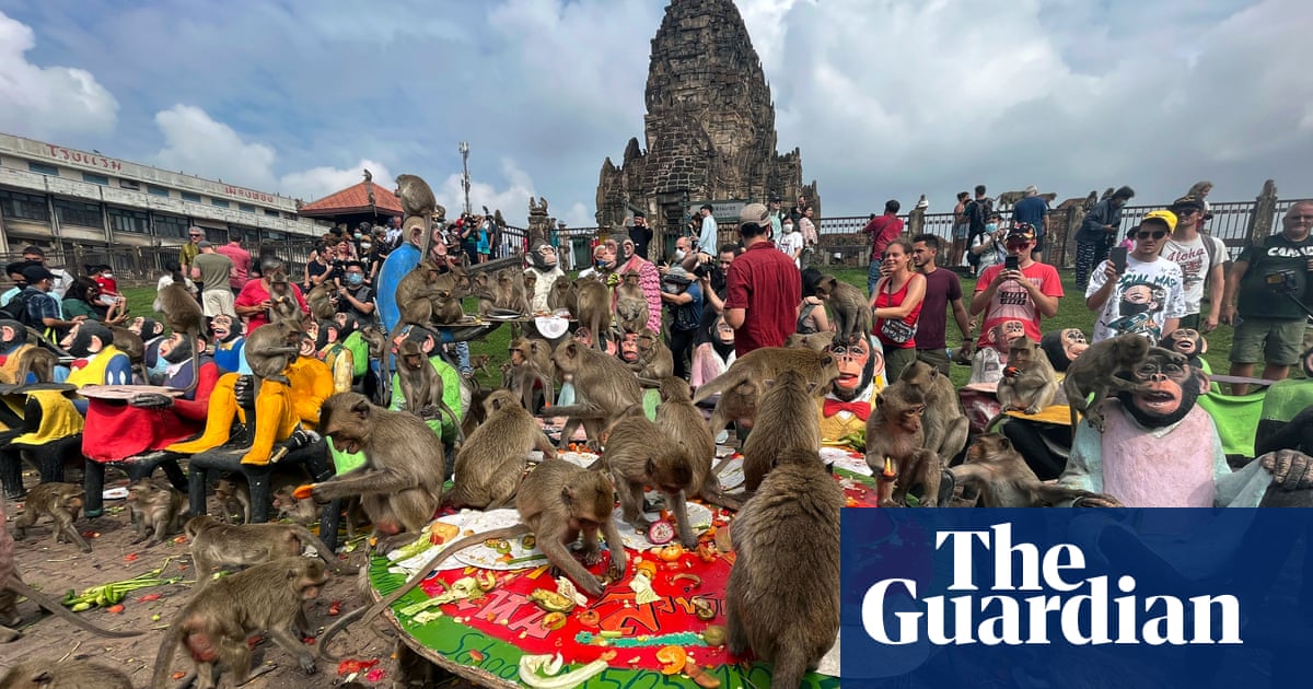 M ischievous long-tailed macaques are, for many, a symbol of the Thai city of Lopburi. Tourists flock to the city’s ancient temple to feed the macaq