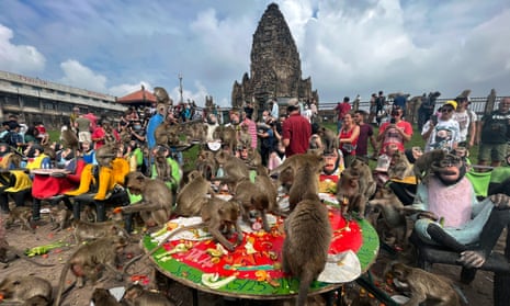 Macaques climb on tables and statues of monkeys to eat food laid out as tourists watch on