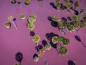 Resíduos do curtume Durli Couros ficam em depósito escavado em campo aberto em Paraguari, no Paraguai.