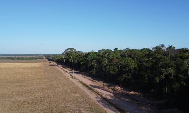 Uma fazenda próxima ao território Mỹky em Brasnorte, Brasil