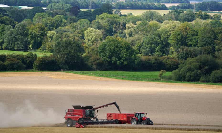 A tractor drives alongside a combine harvester as it unloads grain.