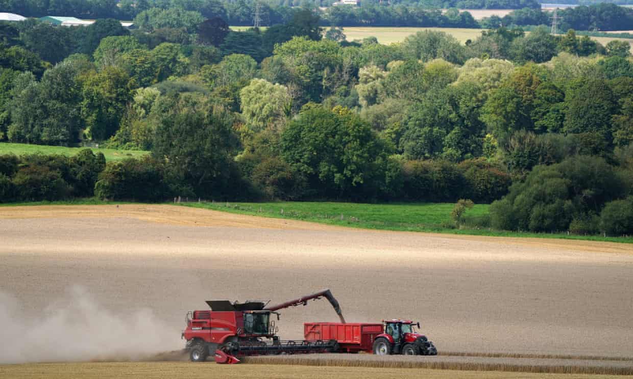 Just 224 farmers were paid under post-Brexit farming scheme last year