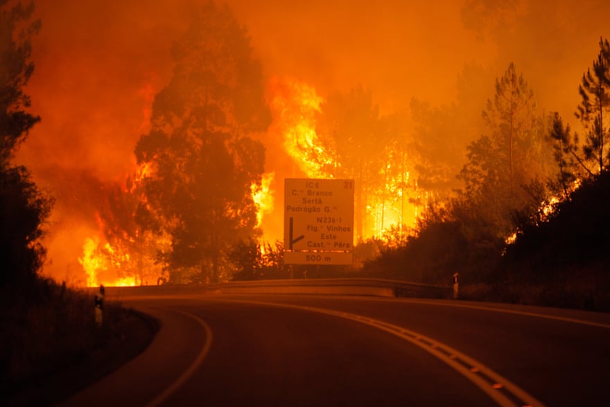Flames engulf a highway in Pedrógão Photograph: Paulo Cunha/EPA Flames engulf a highway in Pedrógão Photograph: Paulo Cunha/EPA