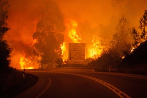 Flames rise during a forest fire in Pedrogao Grande, Leiria District