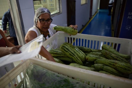 A woman in white clothes and hairnet checks crates of courgettes