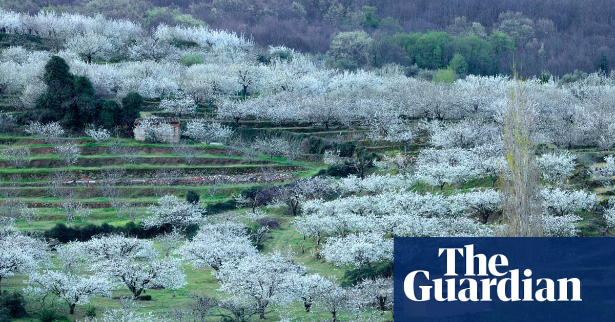 Spain's Right Wing Back at It: Same Game, Different Players