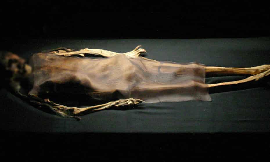 The discovery of mummies in Peru, such as the 1,700-year-old Lady of Cao, pictured, has forced the re-writing of history books. 