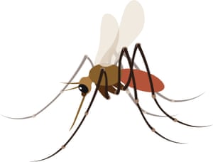 The mosquito emoji.
