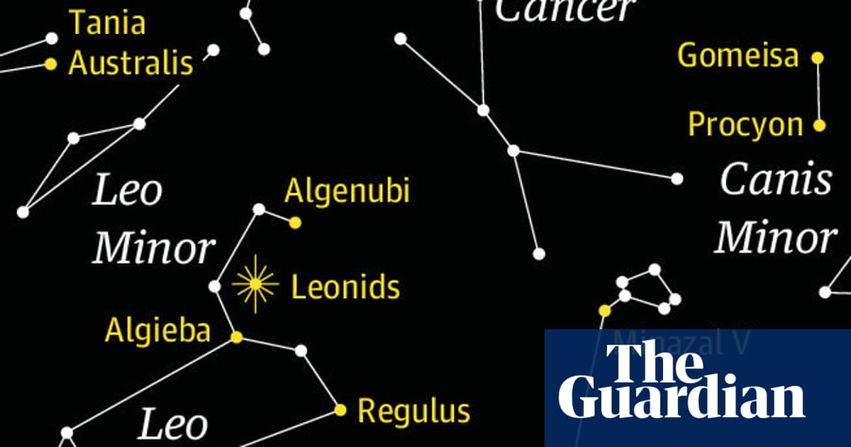 Starwatch: how to see the Leonids meteor shower