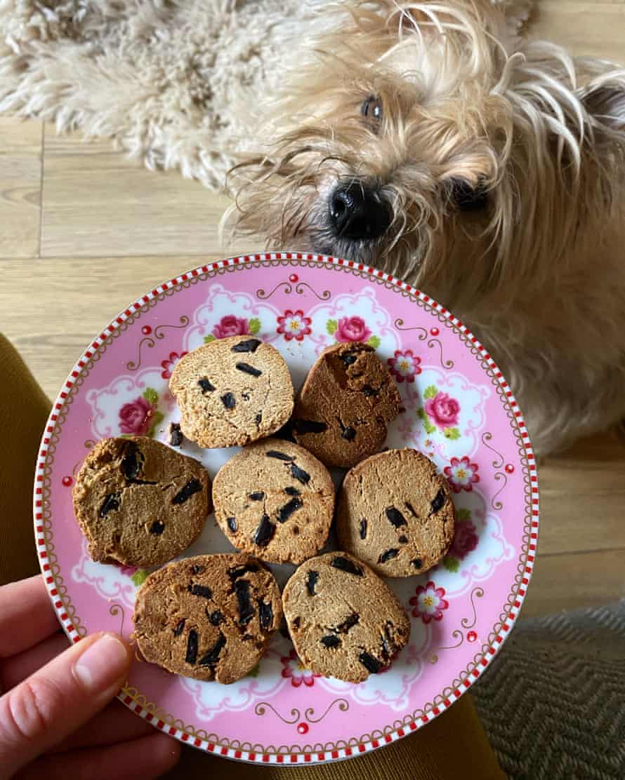 Felicity Cloake’s liver-chip cookies, from Henrietta Morrison’s book Tasty Treats for Happy Dogs.