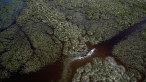 Uma vista aérea de cavalos Yilki, uma das espécies de cavalos selvagens, vagando pelo Delta de Kizilirmak